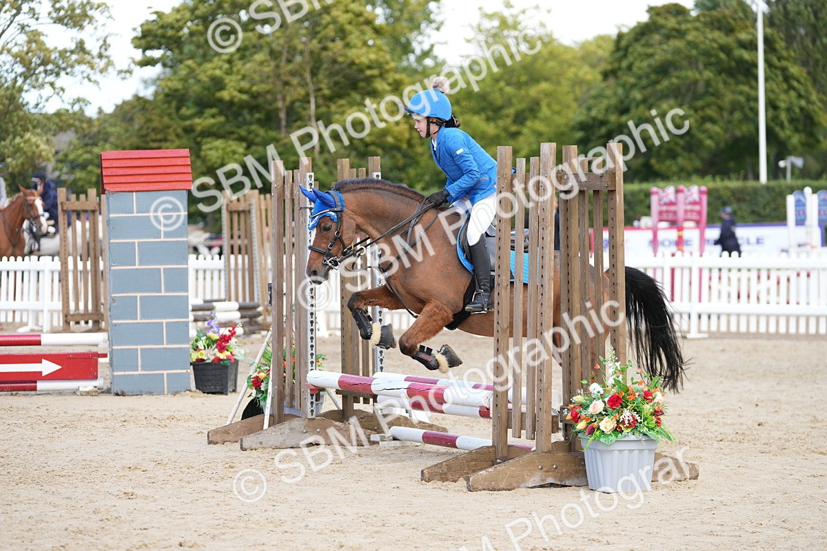 SBM_21262 - J49 - Open 50cm