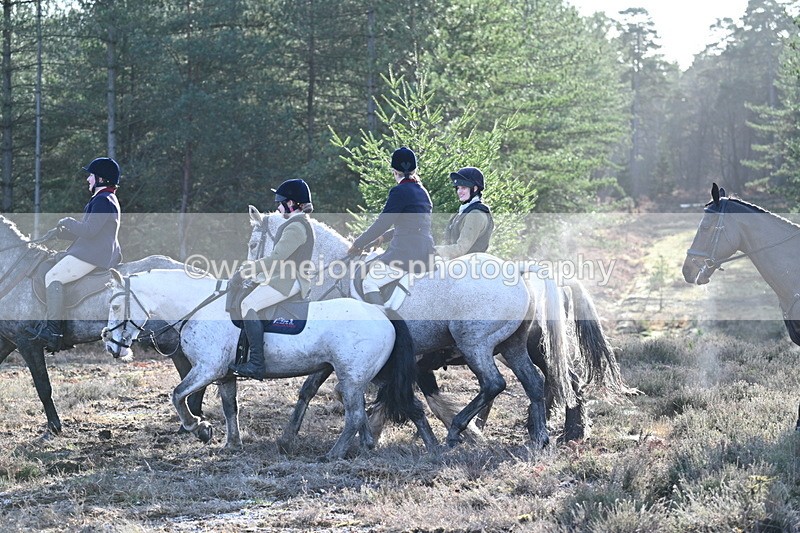 WJ7_7225 - Line 3 (no line 4 or 5)