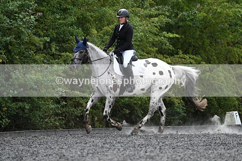 WJ7_7594 - Time 13:21 to 13:38