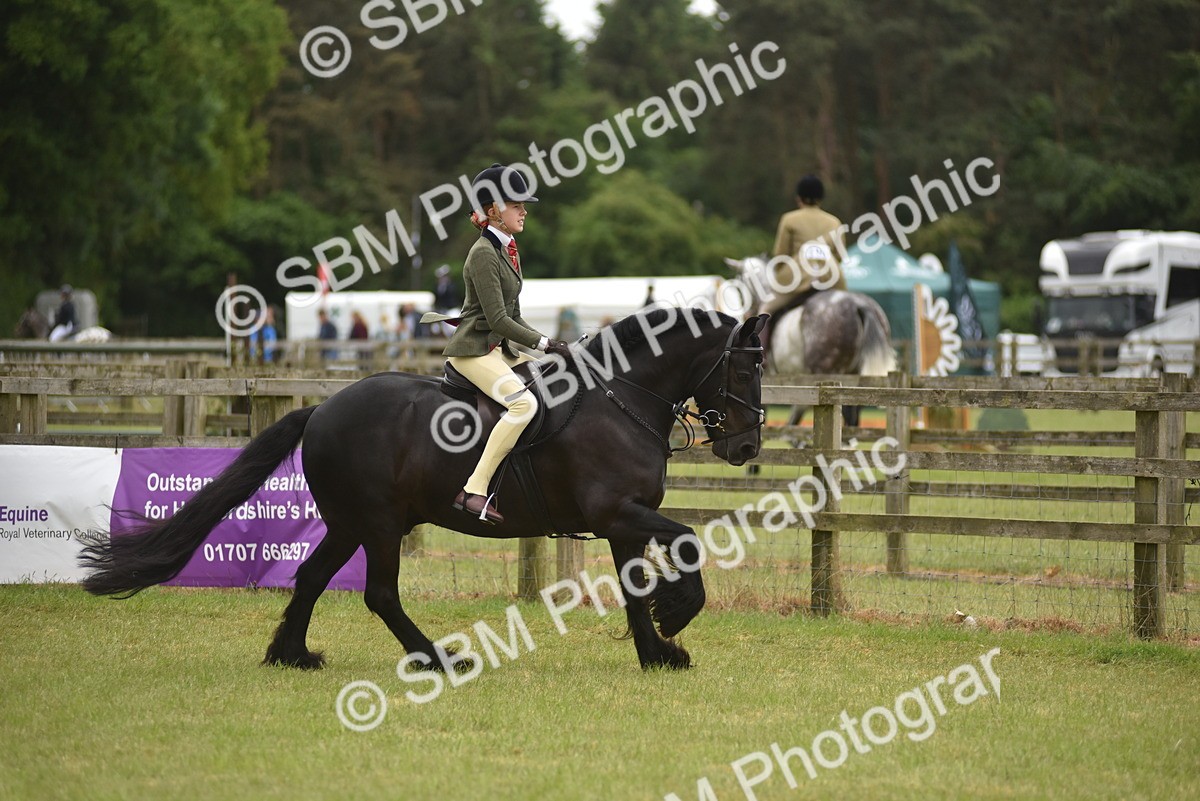 SBM_11997 - Class 110-112 - LIHS BSPS Performance Pones