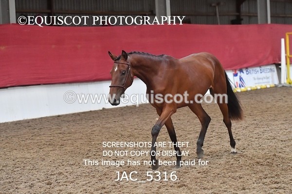 JAC_5316 - 7 L'Espirits Little Unicorn