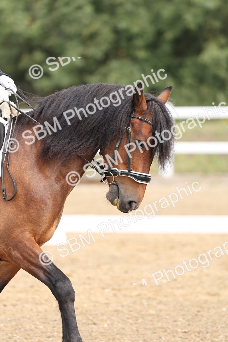 SBM_005844 - Class 6 - Novice 6 - 10.26-11.29