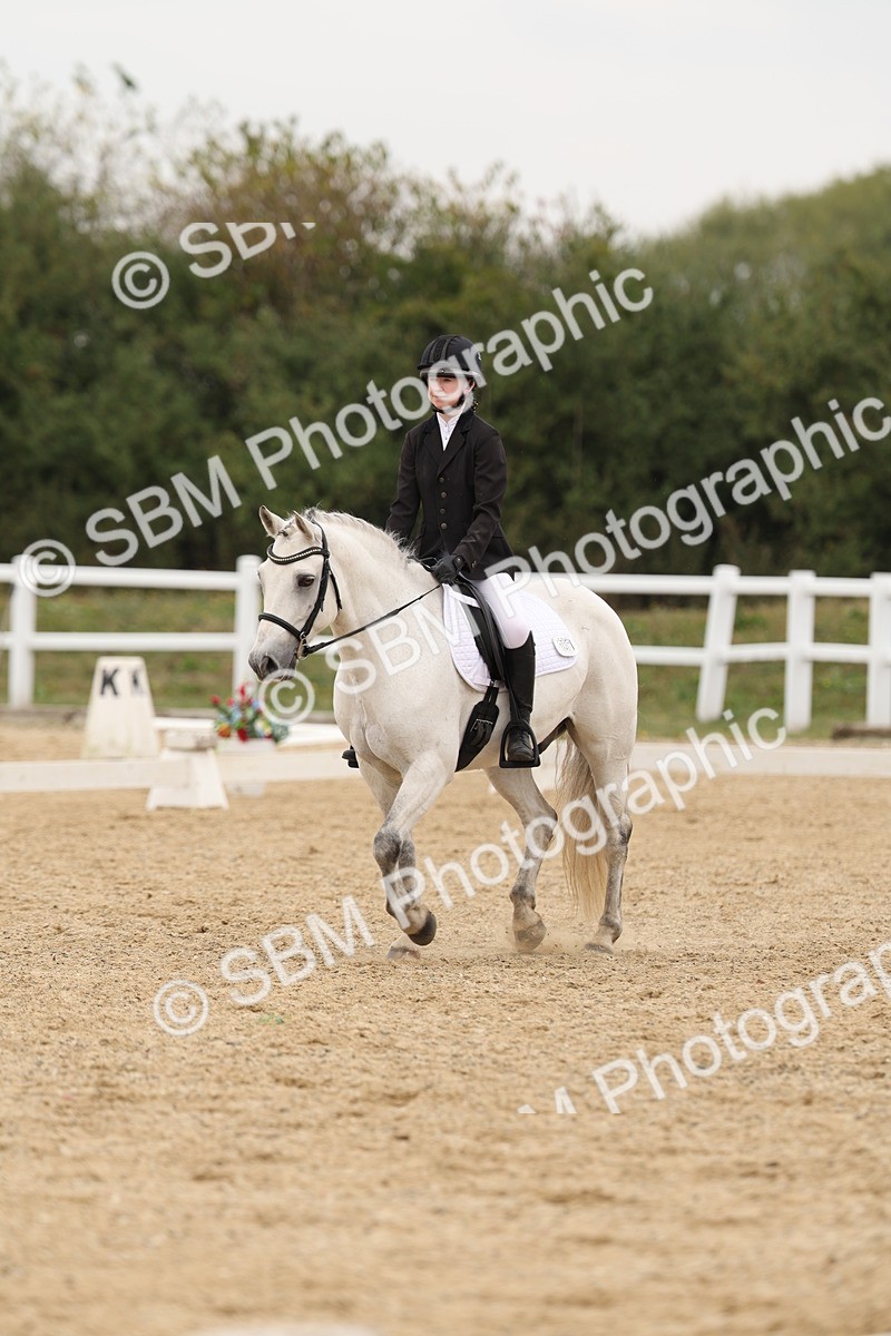 SBM_01068 - Class 8 - Novice 27 Champs