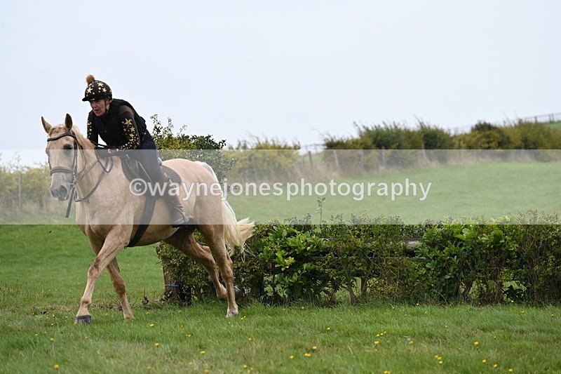 WJ7_9229 - Time 14:01 to 14:20