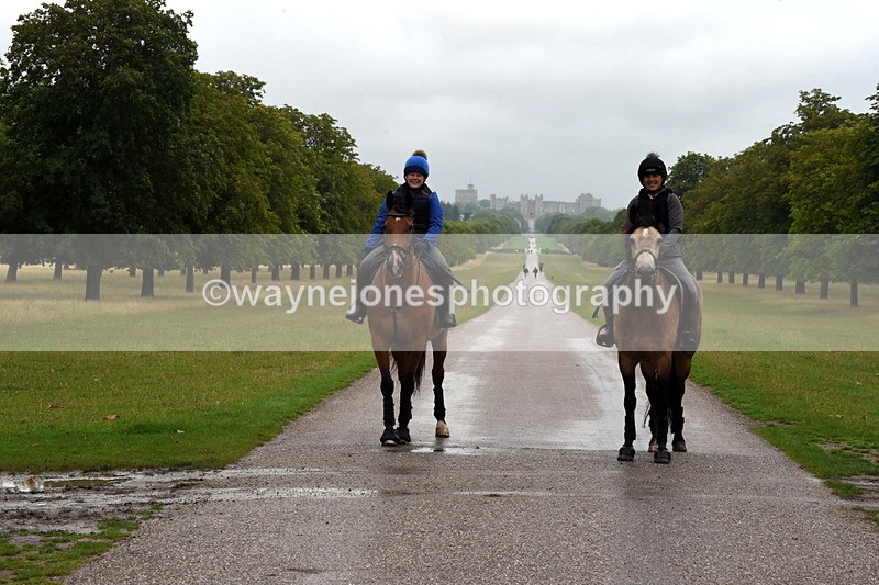 TT3_8169 - Time at Crossing 09:15 to 10:15