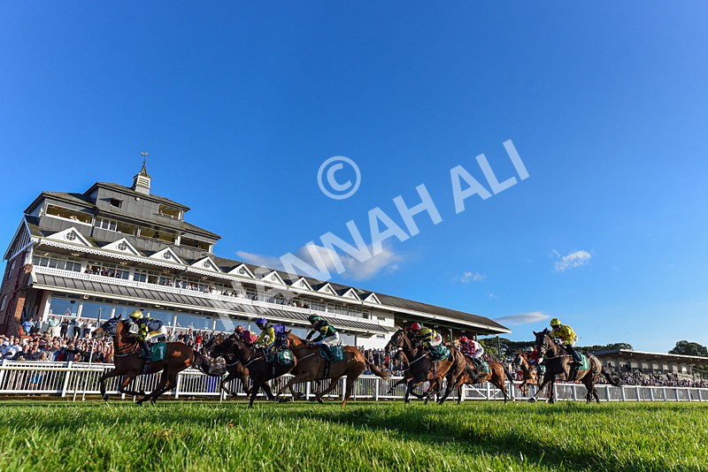 160824-Race 5-Ready Freddie Go-3738 - Race 5