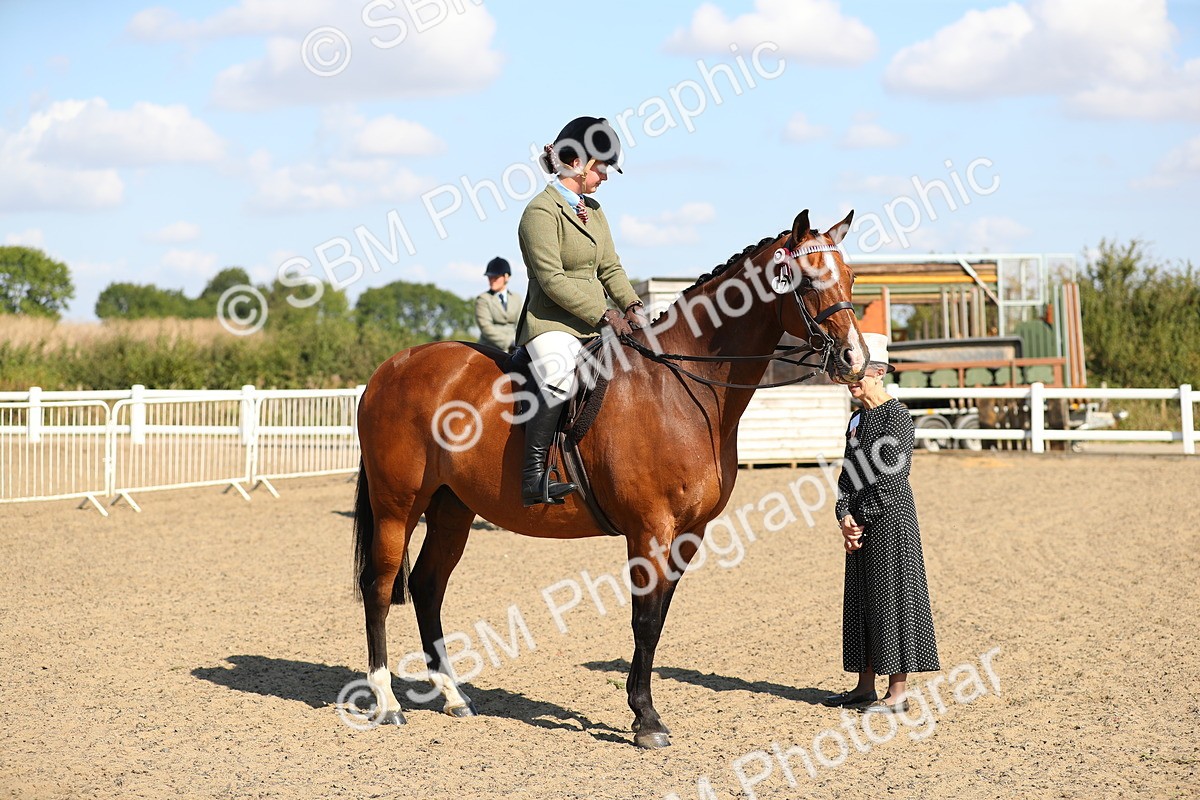 SBM_02346 - Class 43 Ridden Competition Horse/Pony