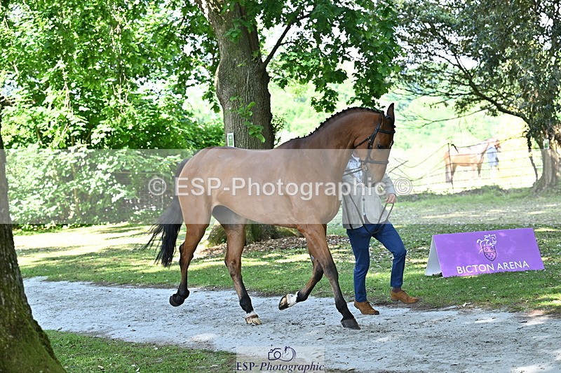 250521A-154538-00737 - B-363-Tom.D.Crisp-BLS.ABSOLUTELY