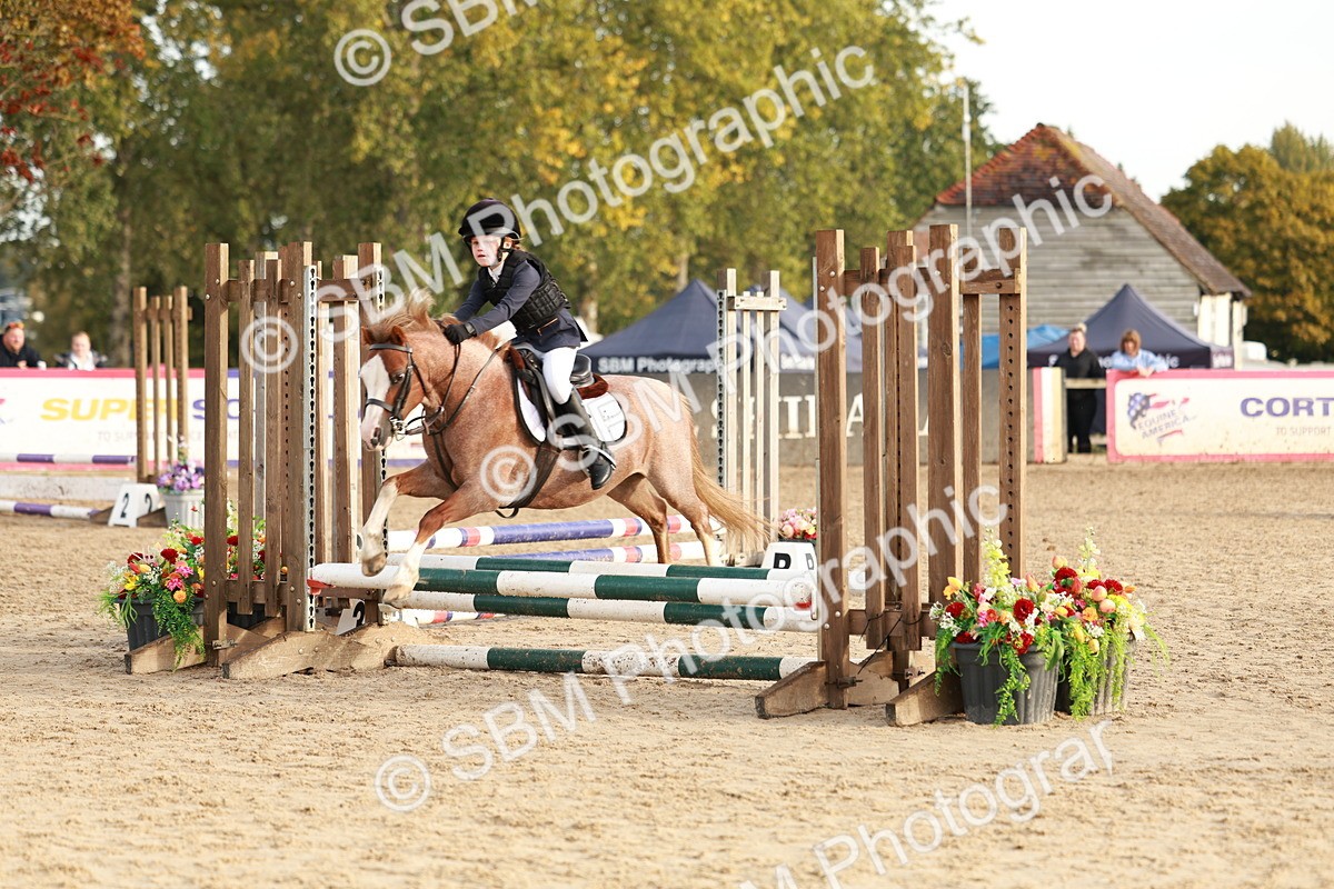 SBM_55541 - J11 - Junior Pony 50cm Championship
