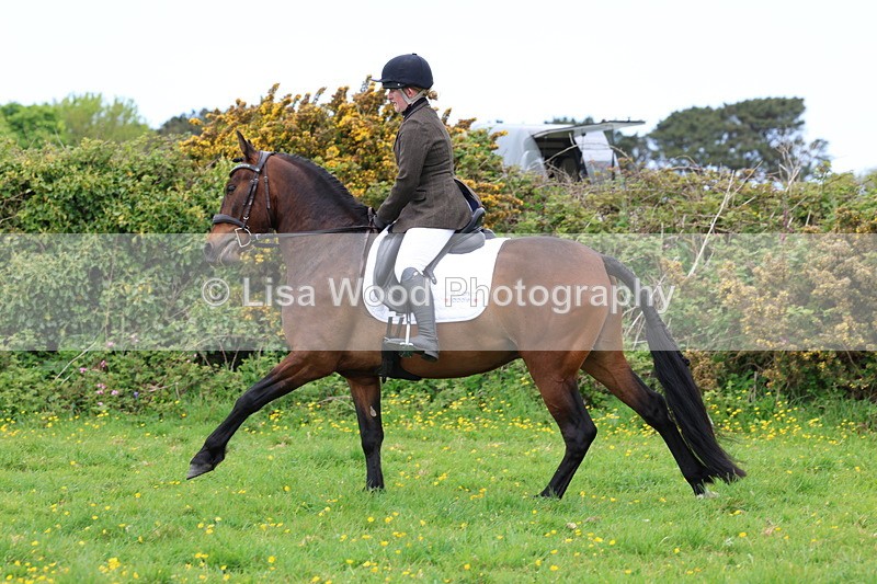 3E7A1814 - Class 9: Riding Club Horse/Pony