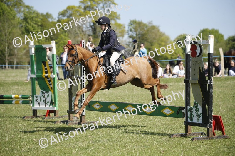 20250427-2089 - Class 13 - Novice Jumping 60cm