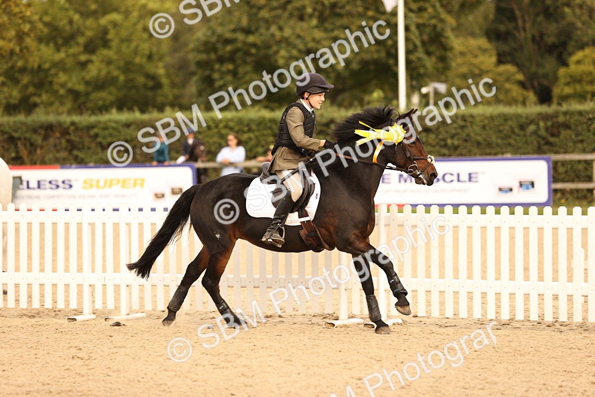 SBM_70871 - J13 - Junior Pony 60cm Championship