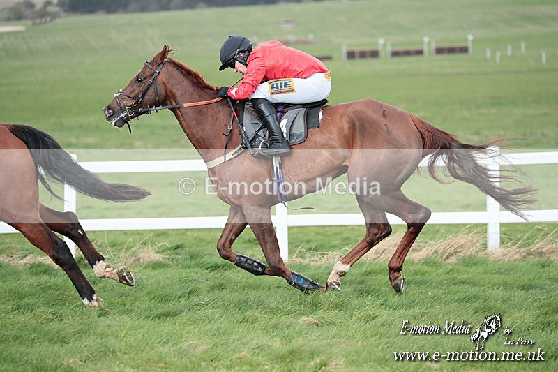 PtP 230324 457 - Tedworth Hunt PtP Larkhill Raccourse 23rd March 2024