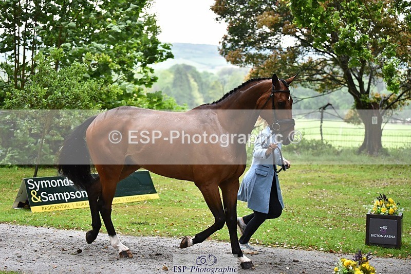 240522-162028-00847 - 240-KINDA_CORVETTE-Dani_Evans