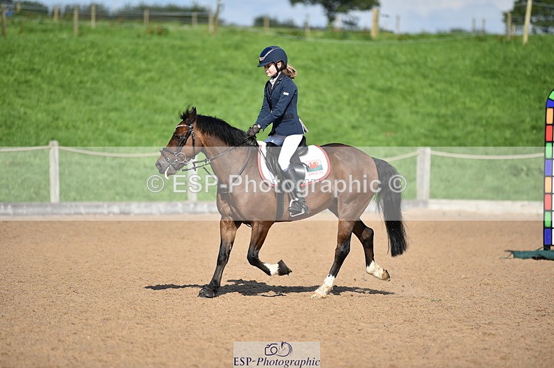 230902A-154352-02004 - Cls 4A Pony Big 95cm