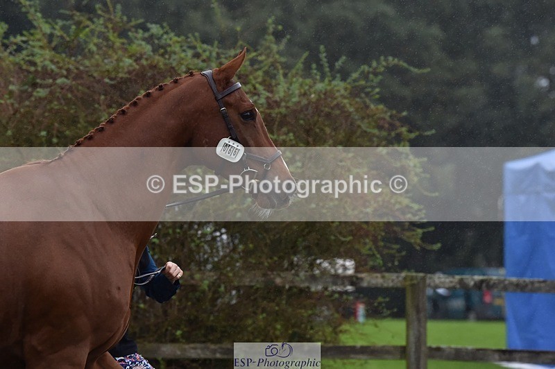 231018-115934-00025 - 066-FJK.OVER.AND.OUT-Alicia.Wilkinson-TrotUp