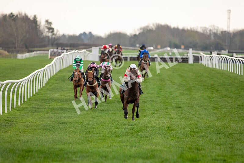 171224-Race 2-Bust A Move-9998 - Race 2