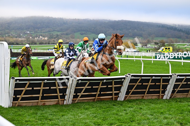 151125-Race 1-One Horse Town-2055 - Race 1