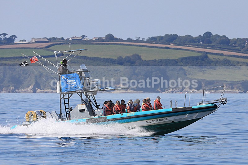 170827 SEAQUEST OF FALMOUTH 1Y3A6834 - RIBs, Tenders, Dories, Dinghies