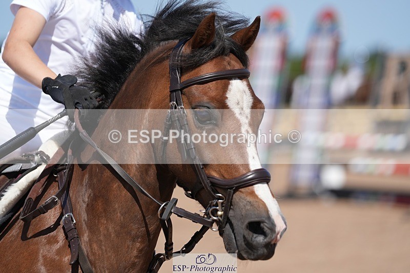 250712-104427-00712 - Cls 2 Small Pony Team