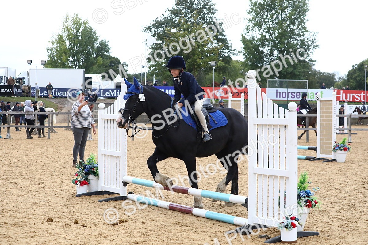 SBM_68187 - J3b - Mini Tour Junior Pony 40cm Championship