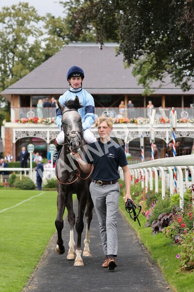 yr19082021r5-37 - Race 5 4.10pm OR8wellness ebfstallions Nursery Handicap