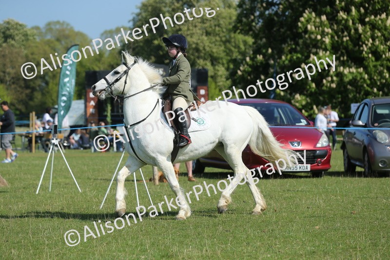 20250427-1135 - Class 1 - Mini Jumping Lead Rein or Assisted