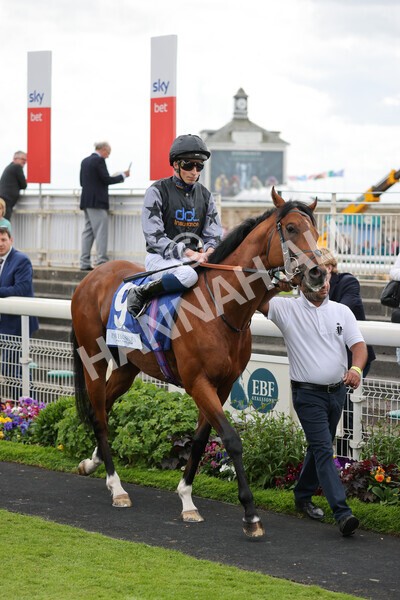 yr11062022r5-14 - Race 5 3.40pm The Pavers Foundation Catherine Memorial Sprint Stakes