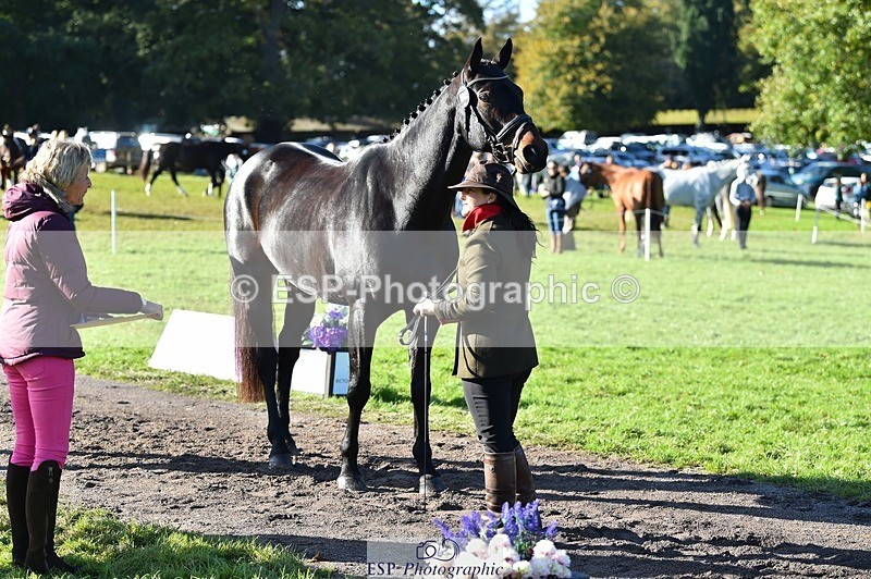 231022-110400-23695 - 506-WOODSTOCK-Gemma.Wood-TrotUp+SJ