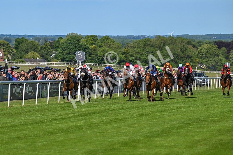 280525-Race 7-Blackcurrent-6221 - Race 7