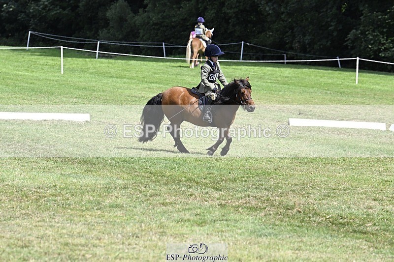 250822A-115653-22456 - DR 11.00 to 12.00