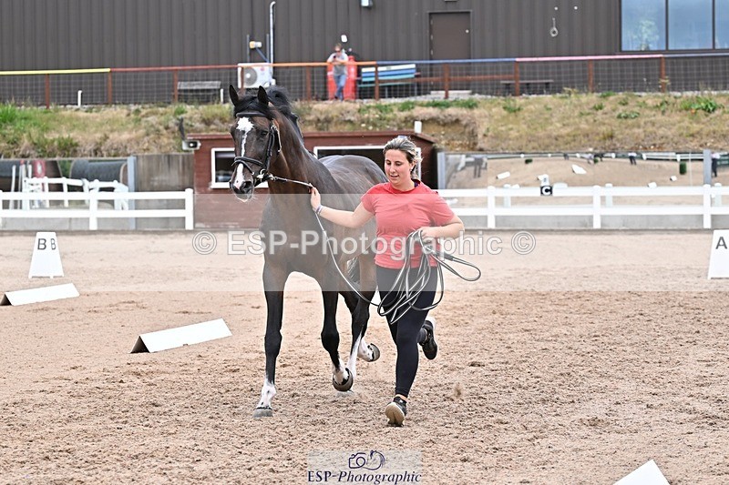 250716-134121-00633 - Trot Up 1.30 to 2.30