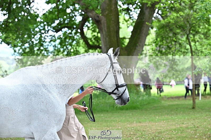250521A-143013-00046 - A-051-Jemima.Howden-VAN.KAUNITZ