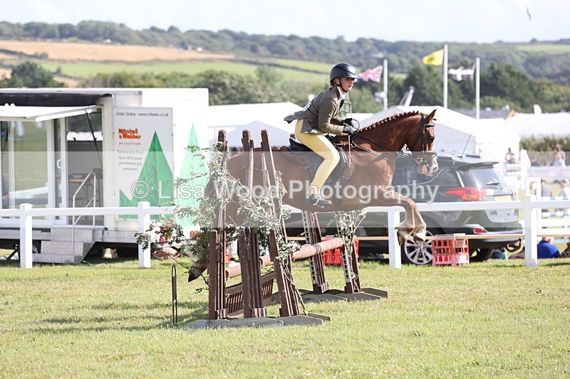 JPP_2768 - Class 20: Working Hunter 70cm