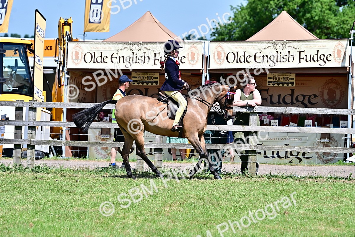 SBM_17546 - Class 95-97 - BSPS LHS Performance Ponies