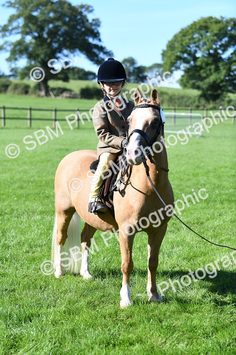 SBM_36865 - S18 - Novice & Newcomers Lead Rein Pony