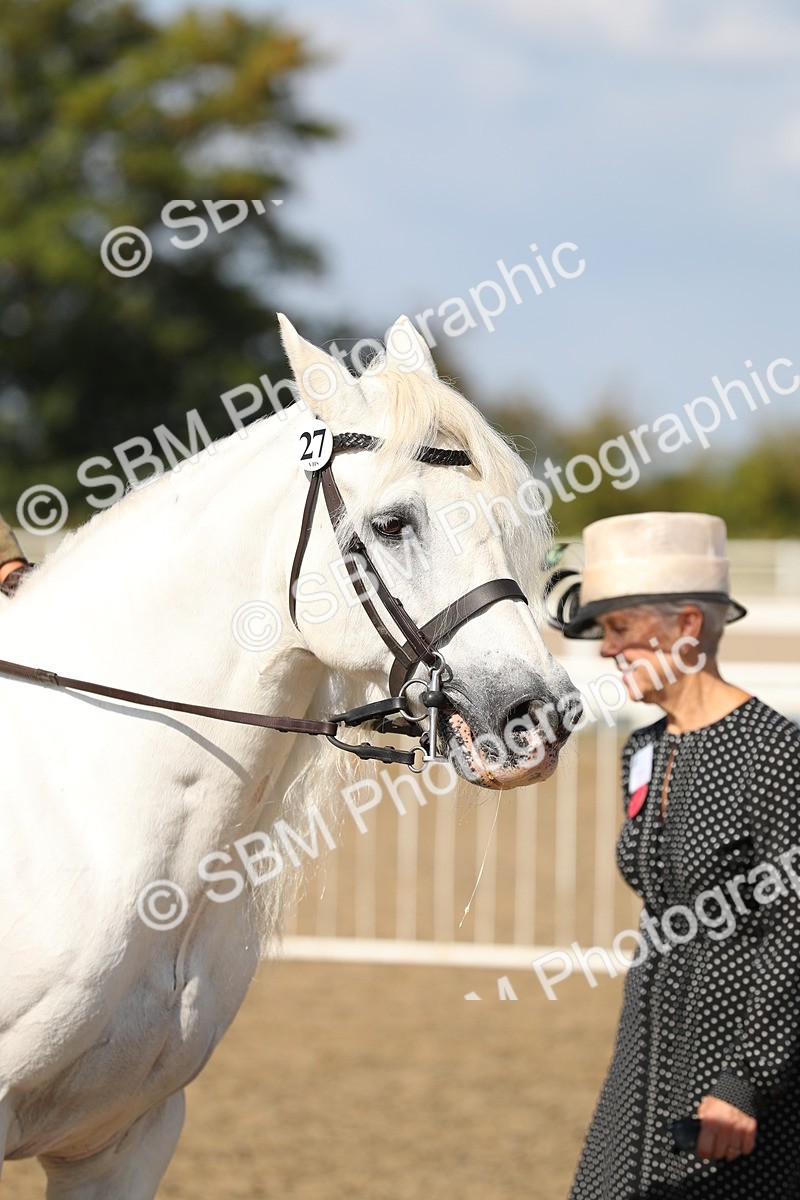 SBM_03172 - Class 44 Riding Club Horse/ Pony