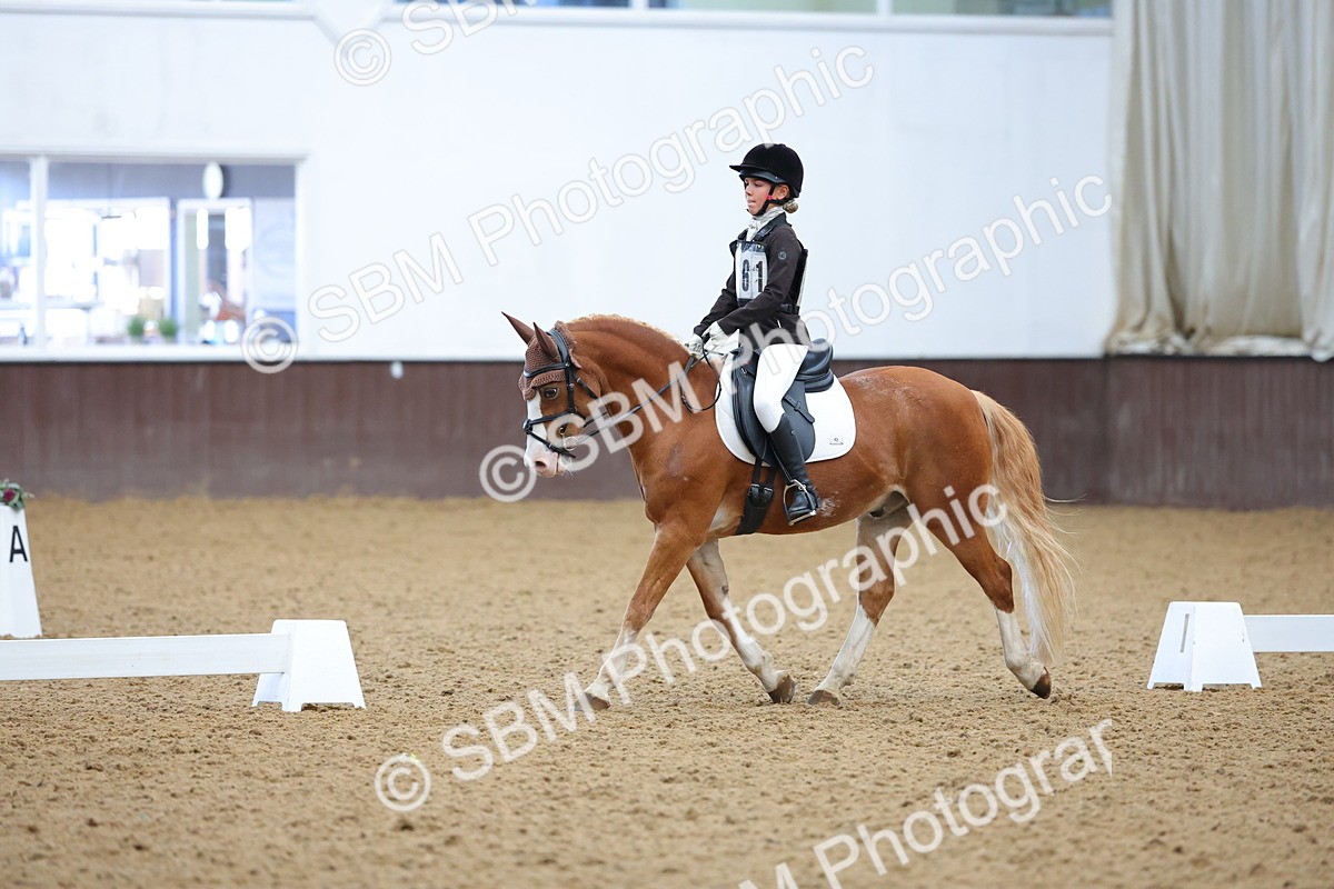 SBM_002953 - Novice