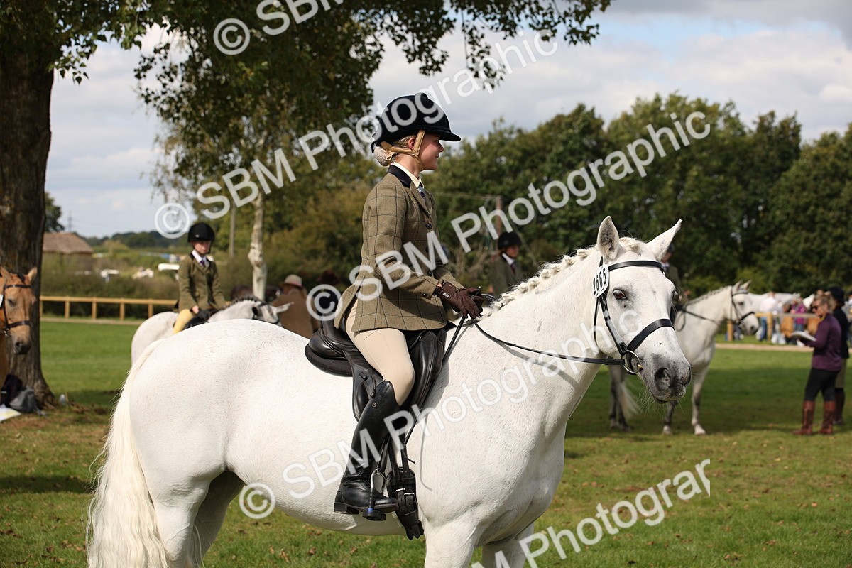 SBM_42386 - S13 - Pony Club Pony