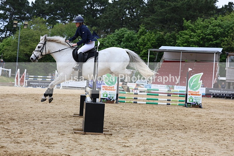 3E7A6370 - Class 4: Senior British Novice/90cm open