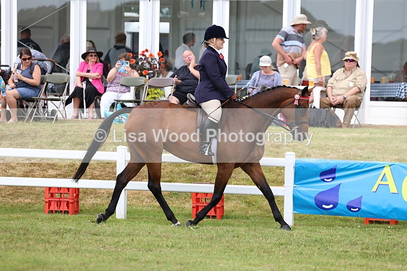 3E7A0825 - Class 8: Open Riding Horse/Hack