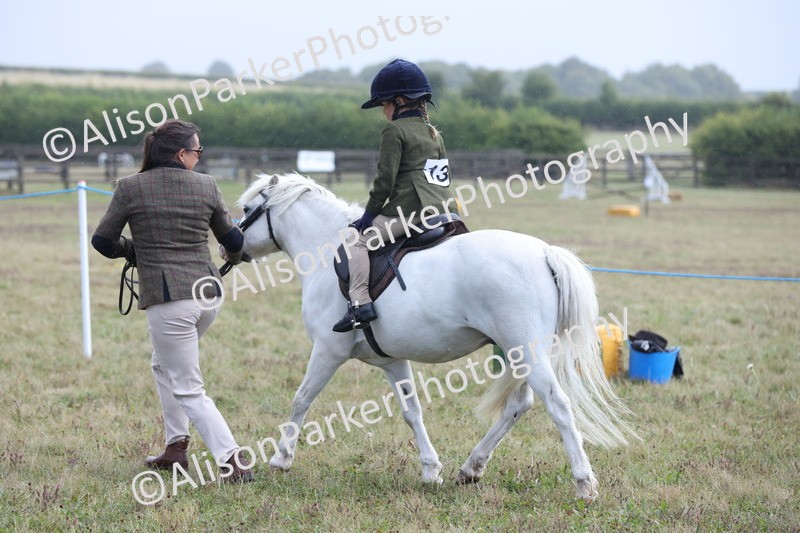 20250831-2421 - Class 16 - Family Pony