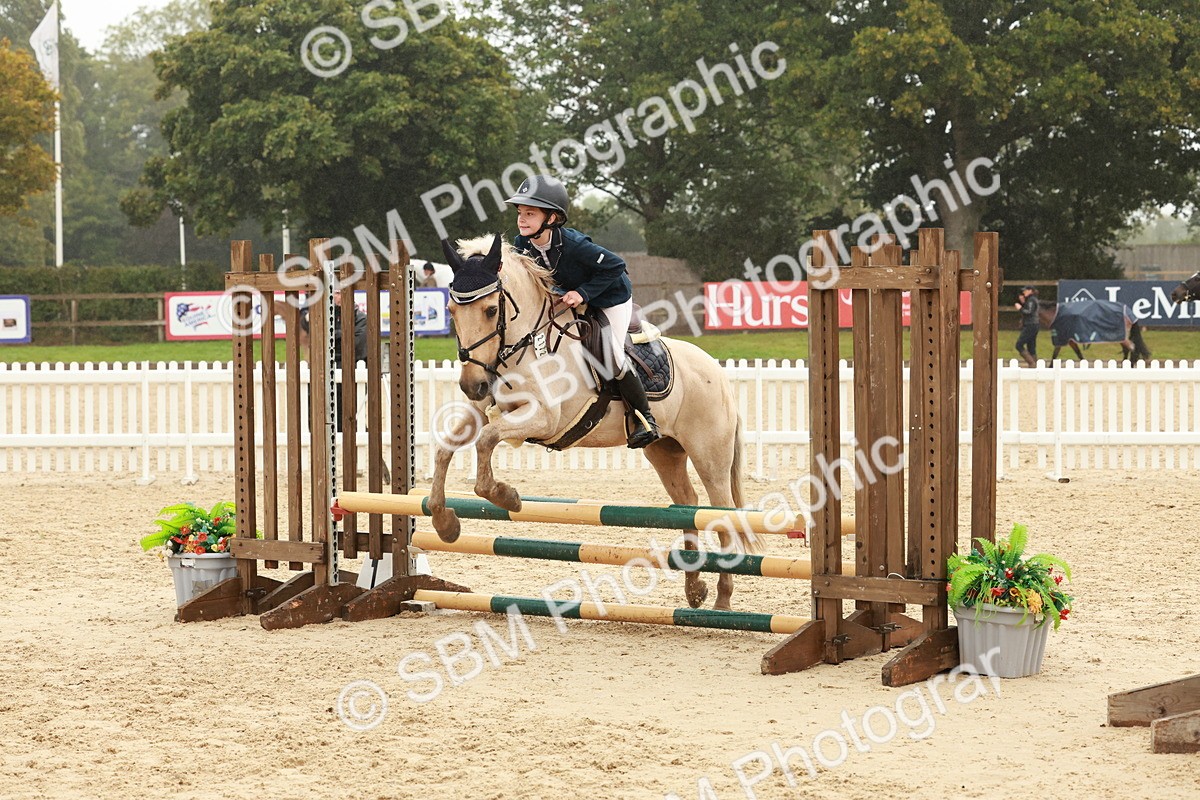 SBM_73299 - Supreme Championship Junior Pony 60cm & 65cm