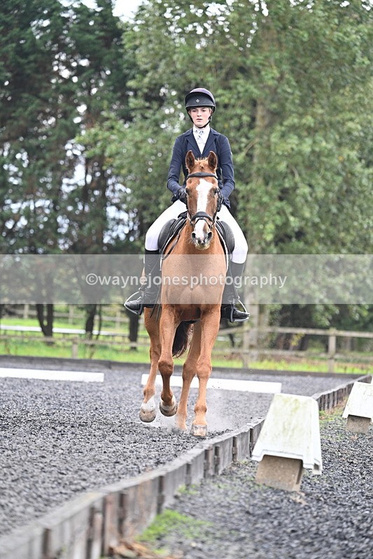 WJ7_6685 - Time 14:49 to 15:14