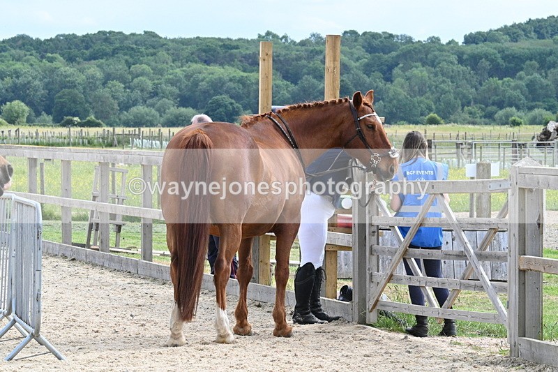 WJ7_7956 - Time 15:39 to 16:08