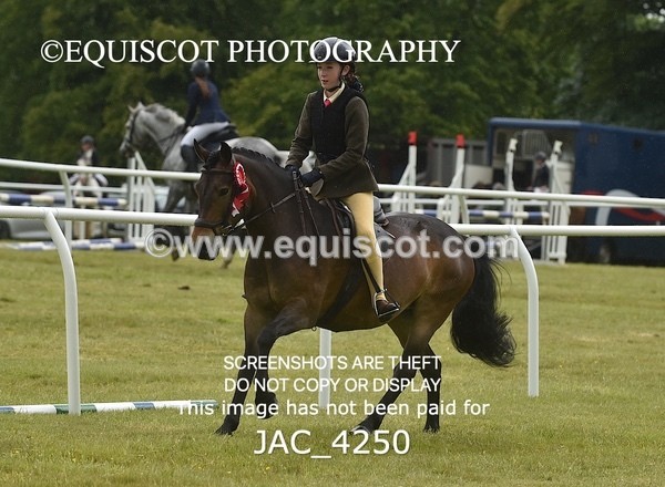 JAC_4250 - WORKING HUNTER CHAMPIONSHIP