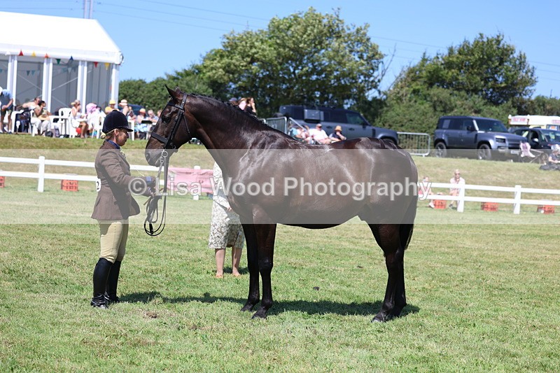 3E7A8225 - Class 9A: Open Small Hunter