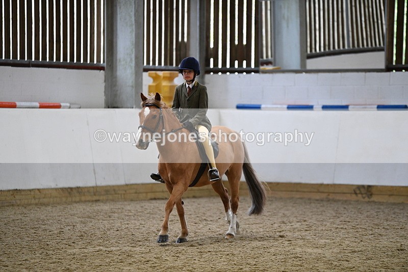 WJ5_6825 - Class 10 Childs Pony