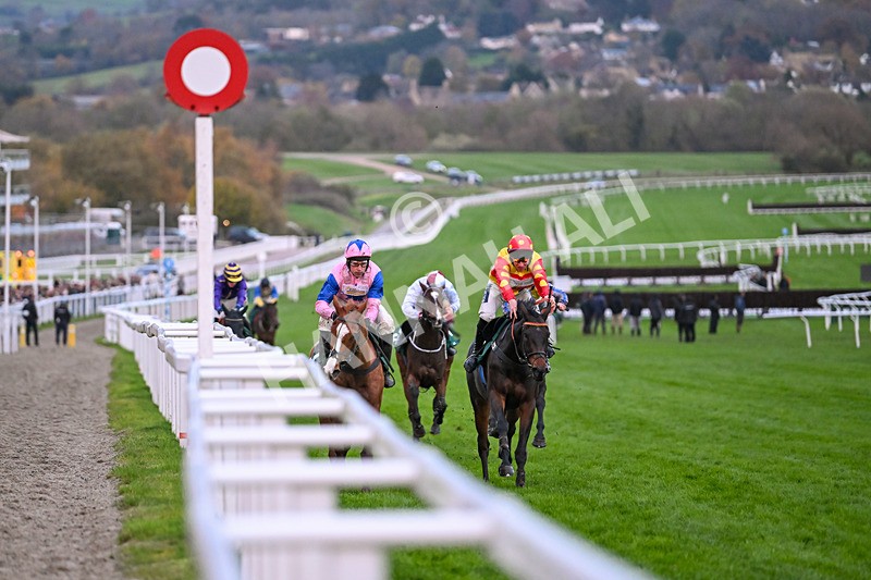171124-Race 6-Fortune De Mer-4587 - Race 6