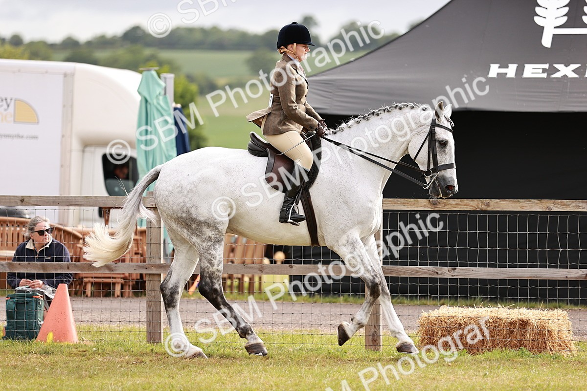SBM_10854 - Class 81-84 - RIHS Ridden hunters Inc Ladies Hunter